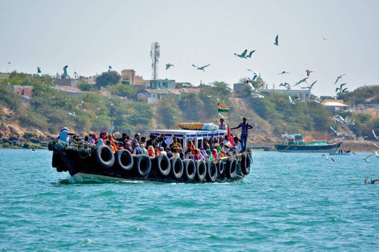 Emerging Trends in Political Advertising